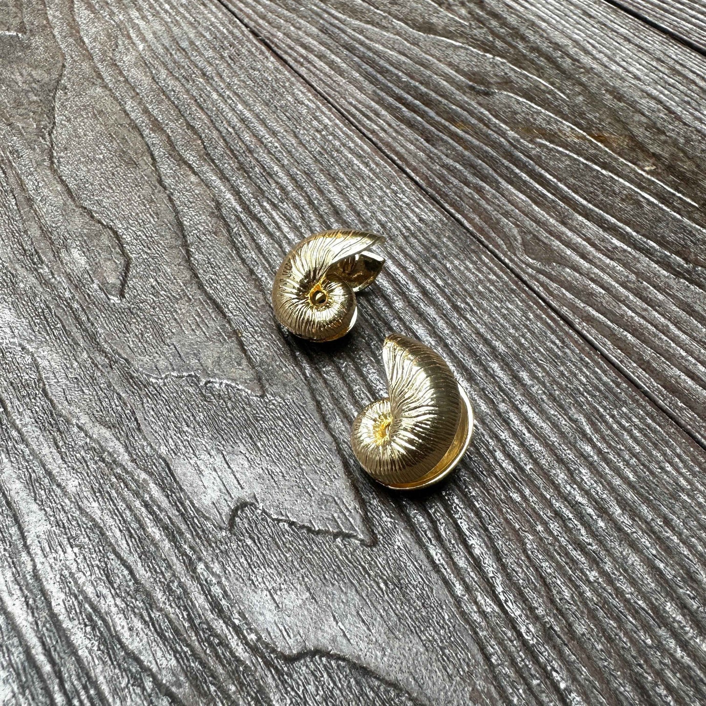 Nautica Earrings