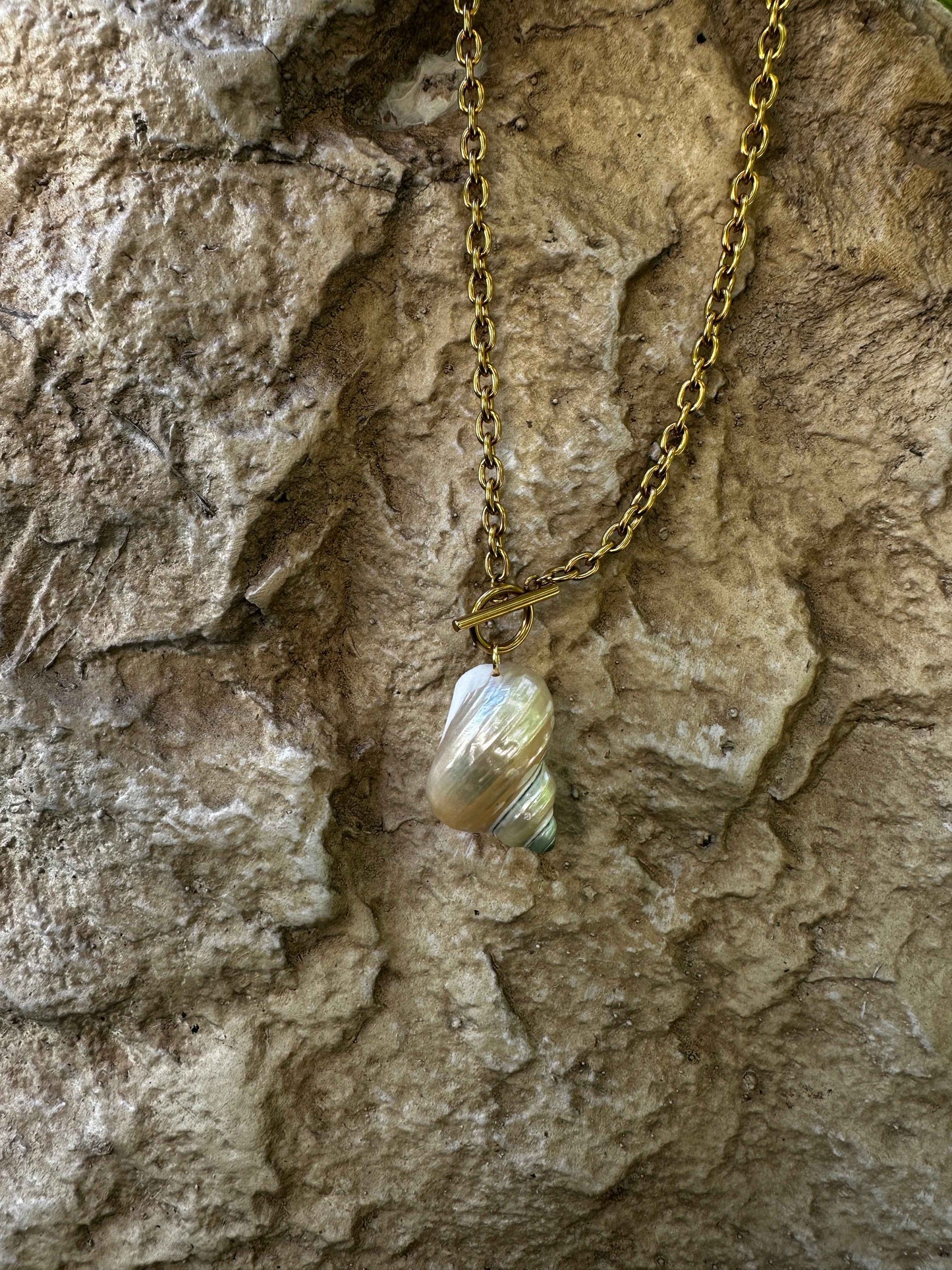 Sunken Island Shell Necklace