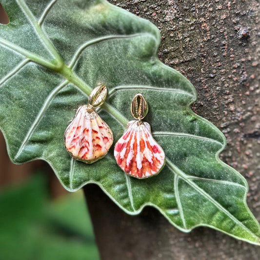 Elysian Shell Earrings