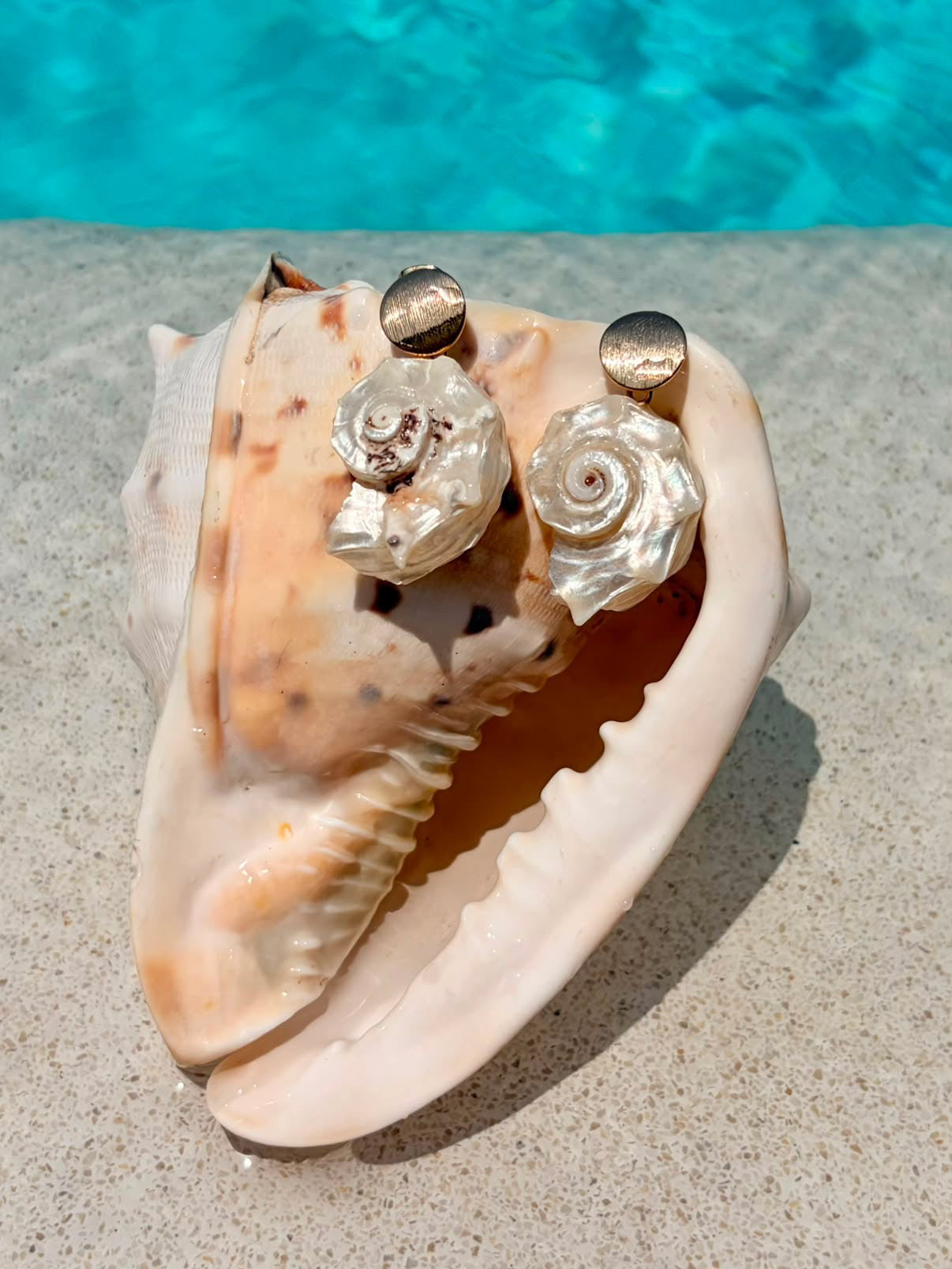 Spira  Shell Earrings