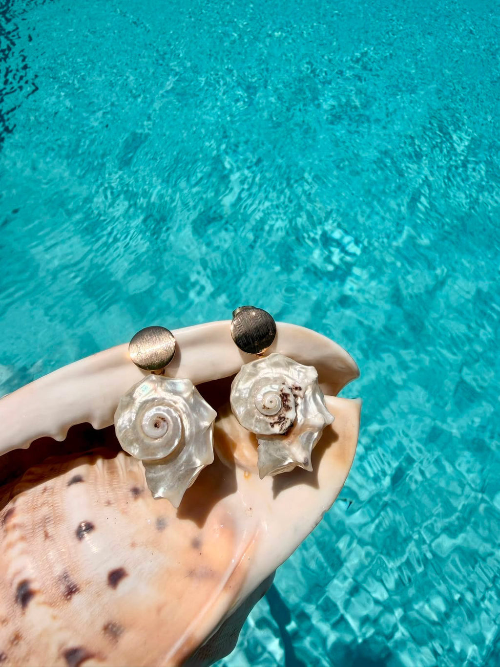 Spira  Shell Earrings