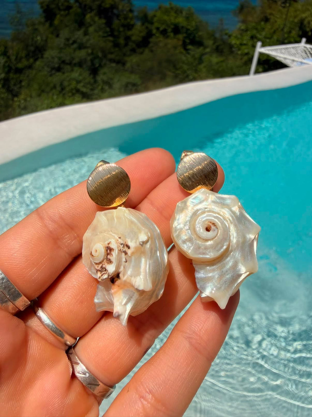 Spira  Shell Earrings