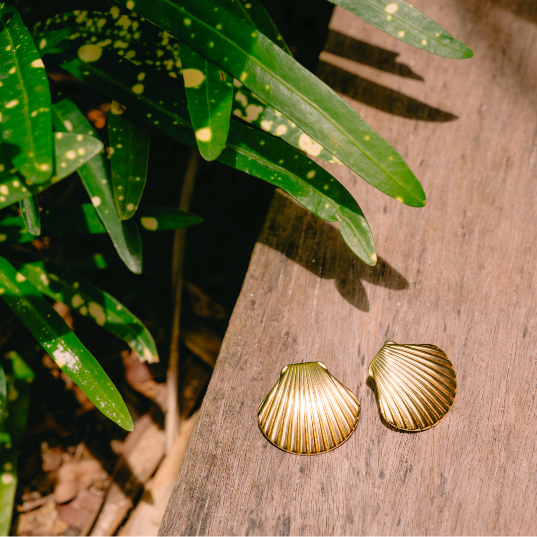 Honolulu Scallop Earrings