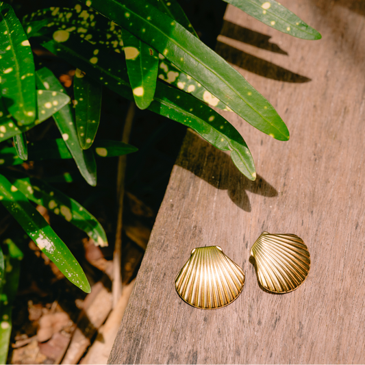 Honolulu Scallop Earrings
