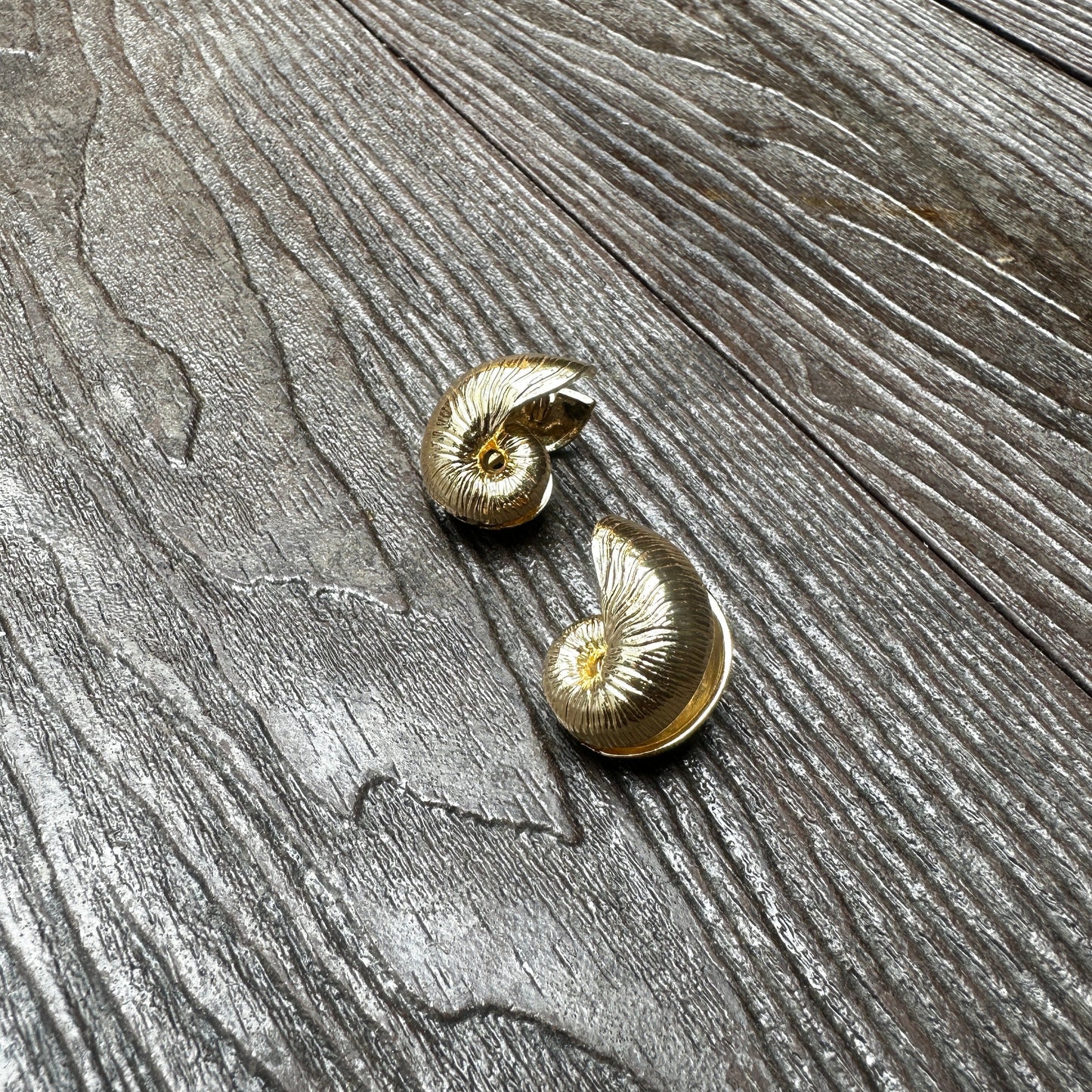 Nautica Earrings