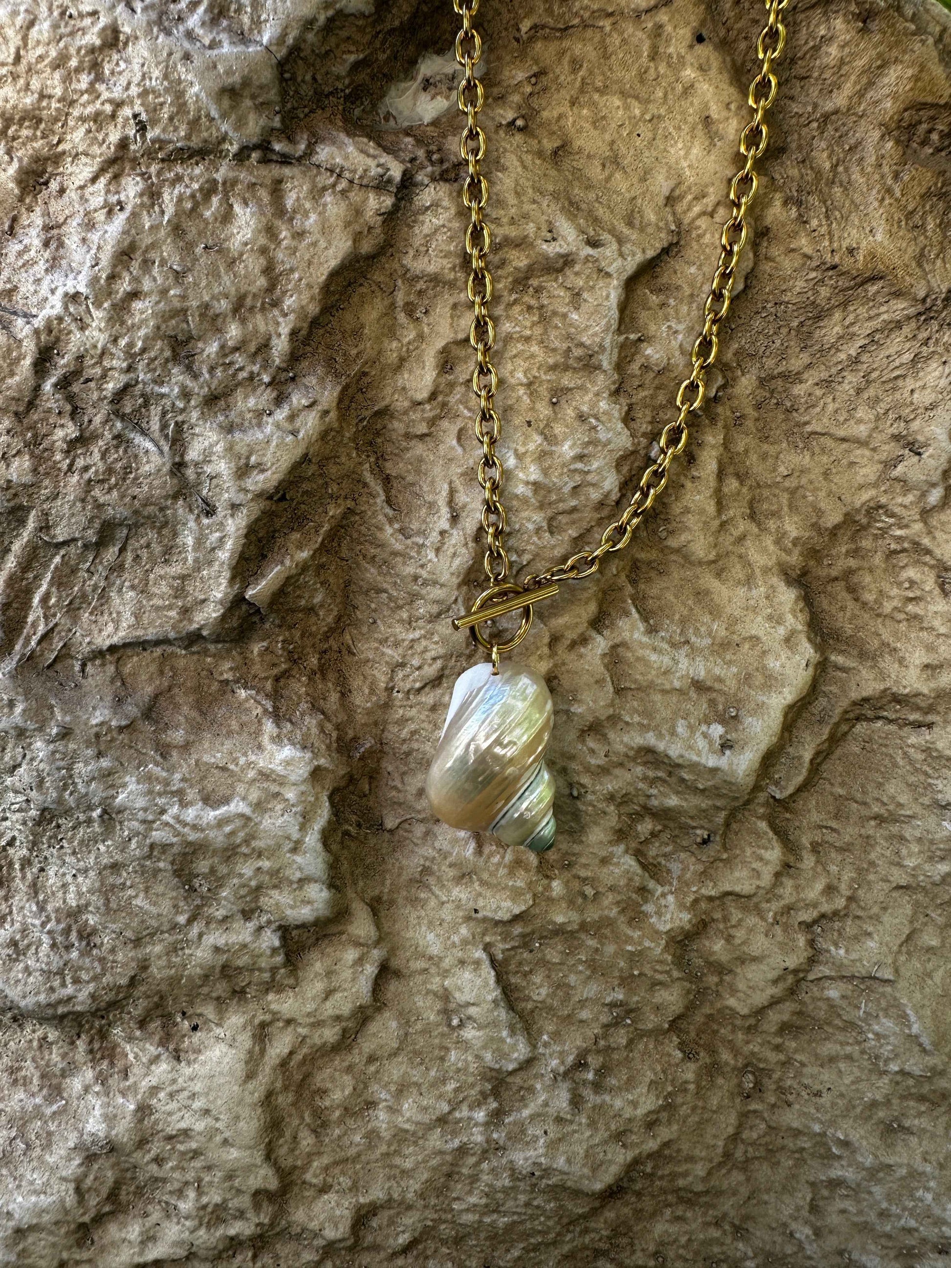 Sunken Island Shell  Necklace