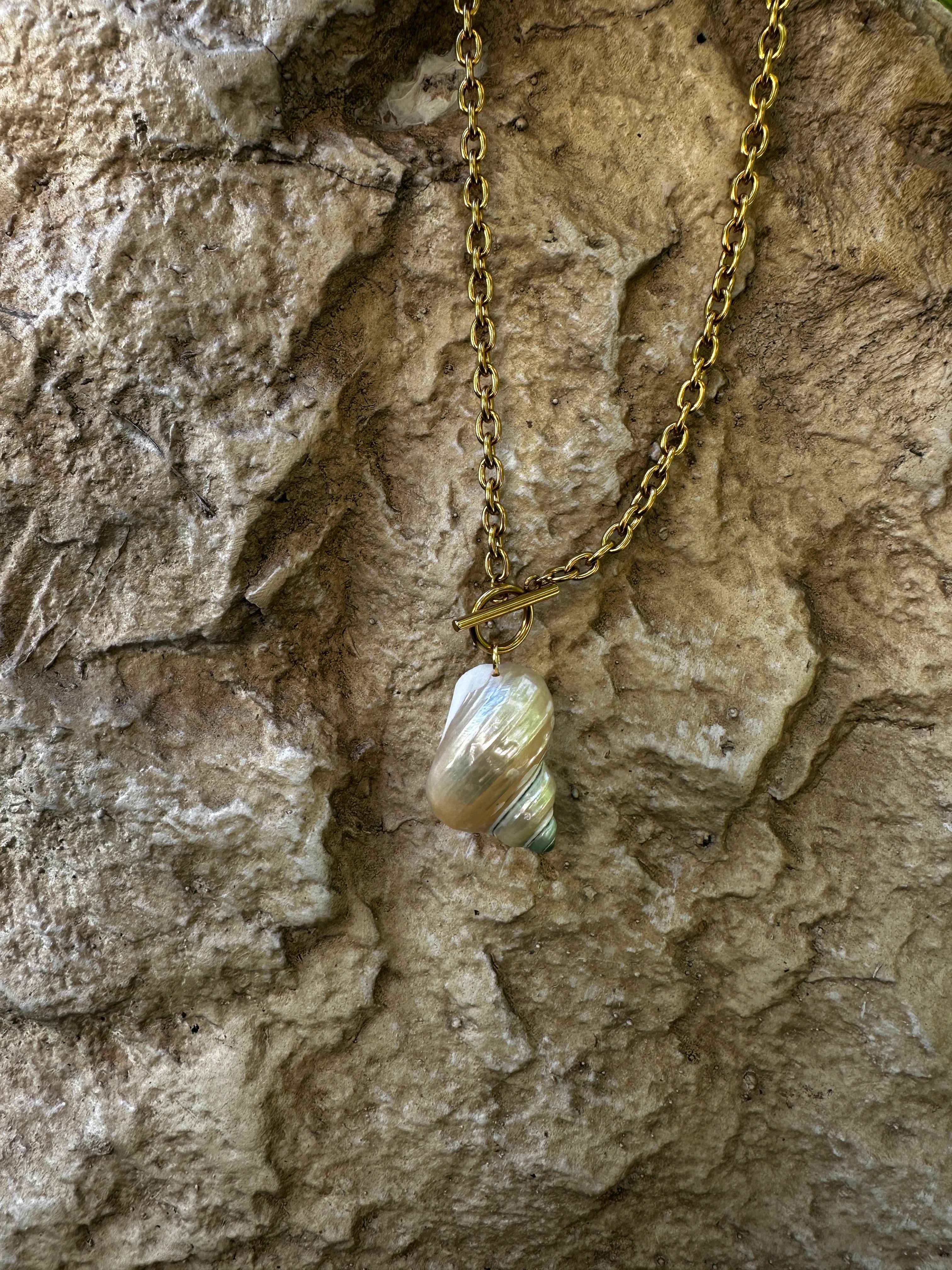 Sunken Island Shell  Necklace