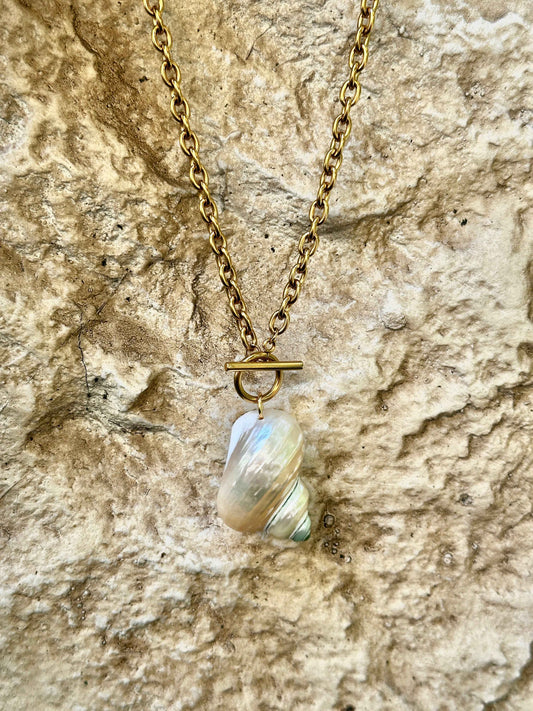 Sunken Island Shell  Necklace