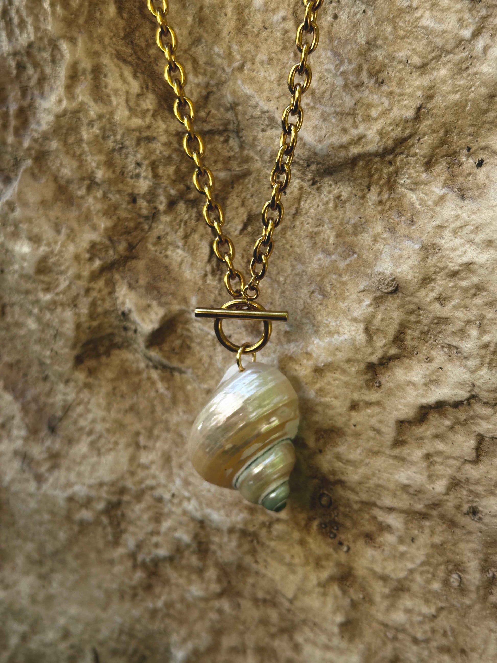 Sunken Island Shell  Necklace